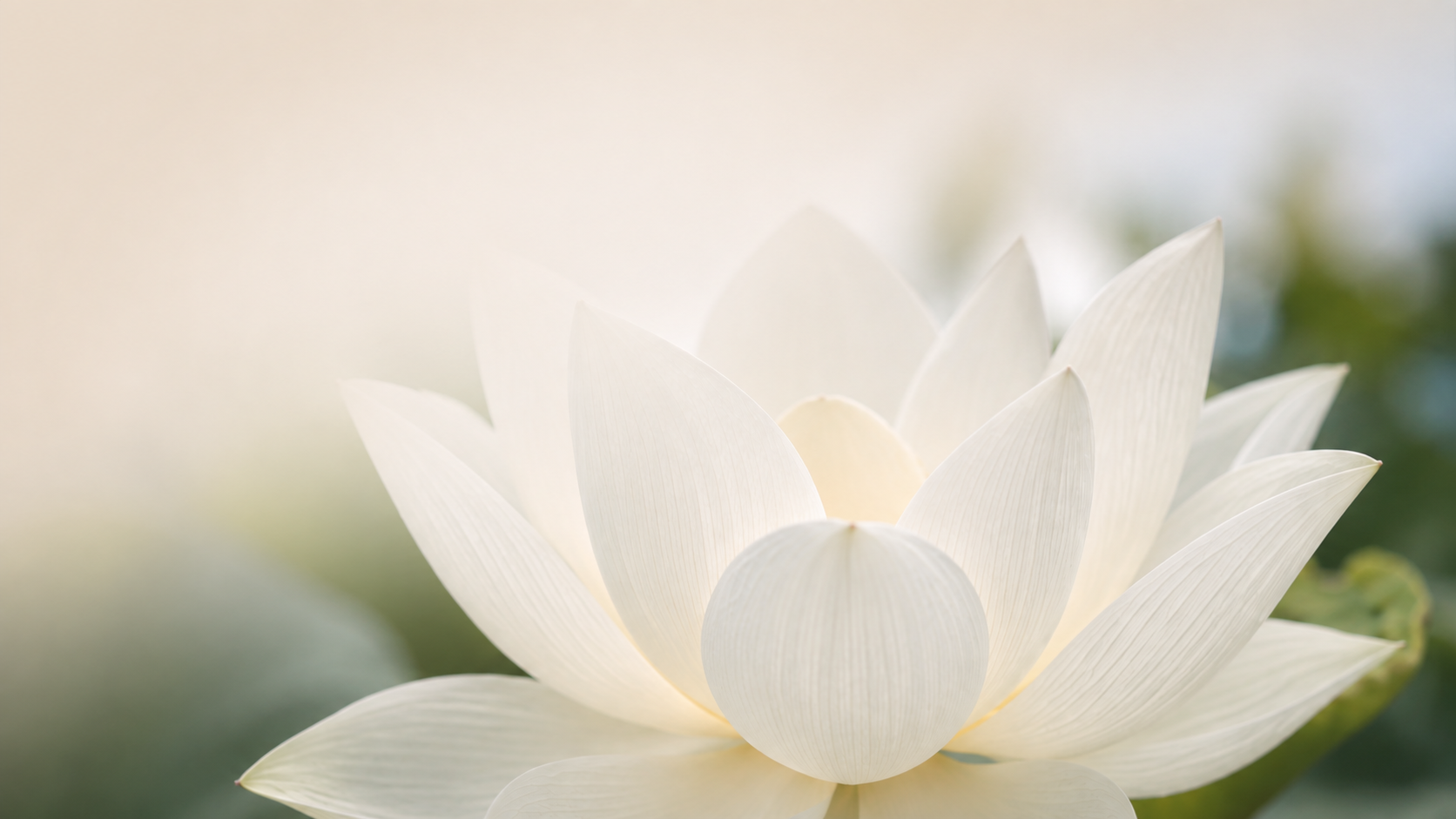 Blog de Renge Coaching